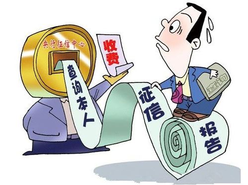 小贏易貸上征信嗎？網貸信息咨詢服務的真相與風險